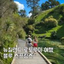 [덕계]여행사진 사람도 풍경이다 | 뉴질랜드 북섬 여행 로토루아 블루 스프링스 비현실적인 풍경