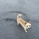 세월리한우전문