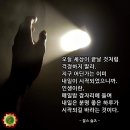 시민권 이미지