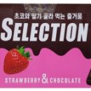 셀렉션