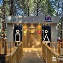 황령산 편백단지 이미지