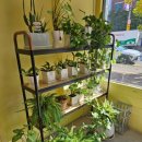 석호로 327 이미지