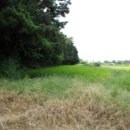 전대1리마을회관 이미지