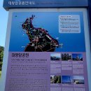 포항-울산 대왕암. 울기등대. 출렁다리 이미지