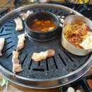 1982돈이돈이 이미지