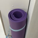 홈트 아파트 층간소음방지 두꺼운 요가매트 추천 엑피트 이지링 벽에거는 요가매트 사용후기