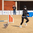 강아지 테마파크 이미지