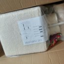 캣토리아 이미지