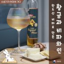 황금빛 물결에 휩쓸리고 싶어라~” 완도산 비파로 만든 ‘황금과 비파와인’ &lt;정예담 소셜 기자가 소개...