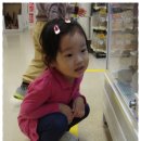 성수동물병원 이미지