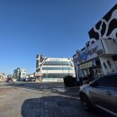 격포어촌계수산물회센타B-5 | 변산 인근 드라이브하며 회 떠가기 좋은 격포 회포장 맛집 격포어촌계수산물회센터 B-5 "회뜨는 언니들"