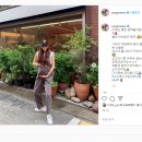 플루피 이미지