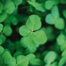 너에게로 또 다시 이미지