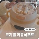 휴대용 이유식포트추천 위바 코지엘이유식포트 실사용 후기