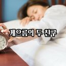 게으름의 두 친구(김남준) 이미지