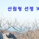순천-02호 Daum카페