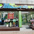 크린토피아코인워시평택덕동점