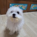 피자플래넷3호점 이미지