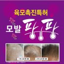 큐사랑천연머리염색