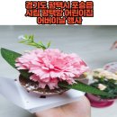 시립평택항어린이집 이미지
