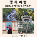 강원도 동해 숙소,무릉계곡 월산아트만 펜션 국내 힐링 여행 추천
