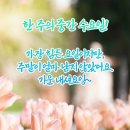 수요일 이미지