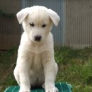 건영축산 이미지