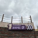우람목장 | 서산시 여행, 드넓은 초원 위에 줄지어 피어난 벚꽃의 향연, "서산한우목장길" 웰빙산책로