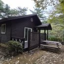 숲속의 집 이미지