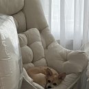 시오꾸꾸 이미지