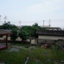 녹산사슴 이미지