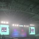 샘물노래클럽 | 한로로 콘서트 후기 한로로 4TH 단독콘서트 〈자몽살구클럽〉 20251122