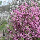 이시돌쉼터 이미지