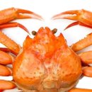 주식회사 유진-수입 이미지