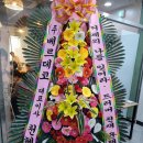 탑마림바 이미지