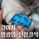 웨스턴5빌딩 이미지