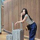 만에 바꾼 캐리어 실제 후기!수만번 고민끝에 선택한...몬딱 28인치 캐리어 리뷰, 100% PC로 파손걱정끝!!
