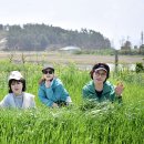 삼화목장 이미지