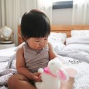 순양축산 이미지