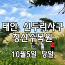 [클릭하세요] 팜파스그라스 인생샷, 청산수목원 + 신두리사구 + 백사장항 이미지