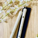 가야금(소수정예) 이미지