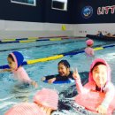 리틀아쿠아파크 이미지