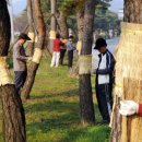 겨울의 시작 입동…아침 영하 3도까지 뚝 이미지