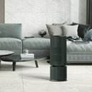 포레스트541 이미지