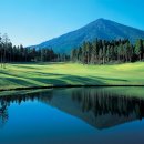 CLUB S 골프클럽 이미지