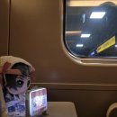 (주)코리아세븐계산본점 | 대전 당일치기 여행:레슨 원, 처음 간 성심당에서 잠봉뵈르 먹어보기