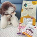 찹찹 펫푸드 이미지