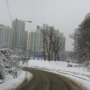 솔터농장 이미지