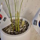 중부대로14 이미지