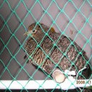 금순이농장 이미지